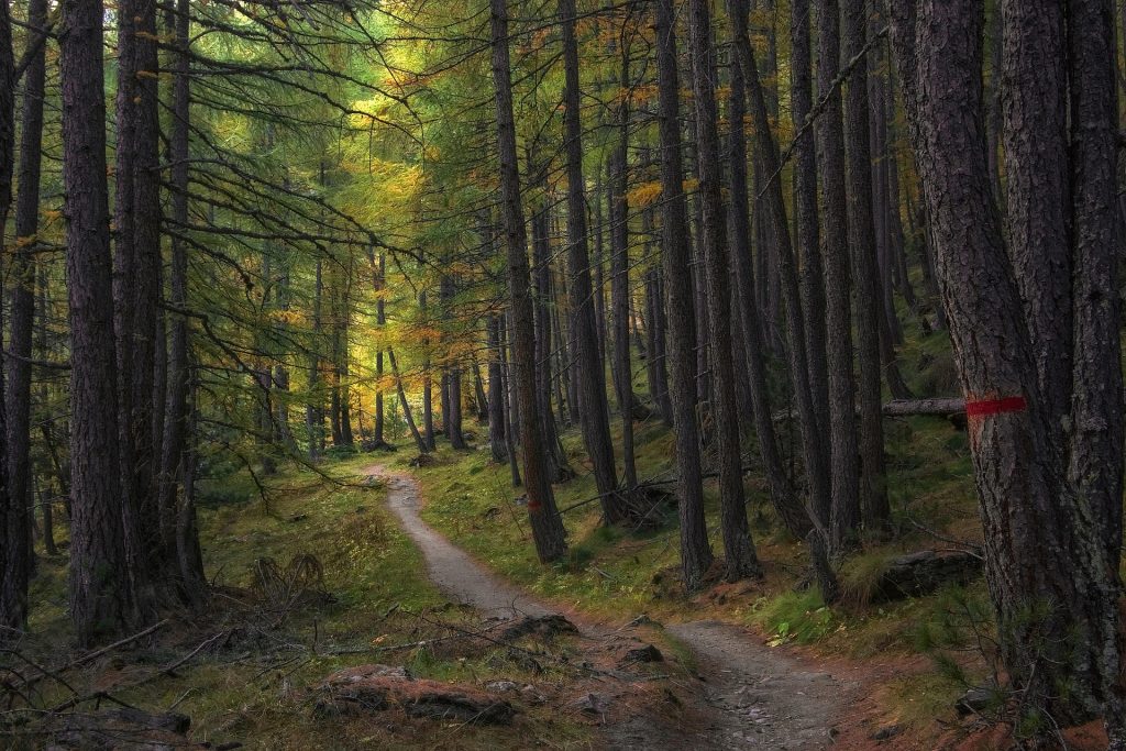 camera man trail 5726987 1920